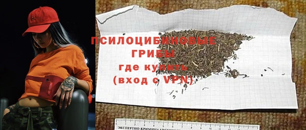 сатива Алексин