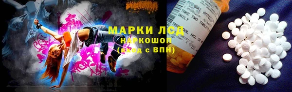 прущий лед Алзамай