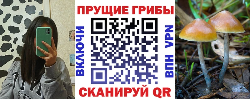 Псилоцибиновые грибы ЛСД  купить   Себеж 